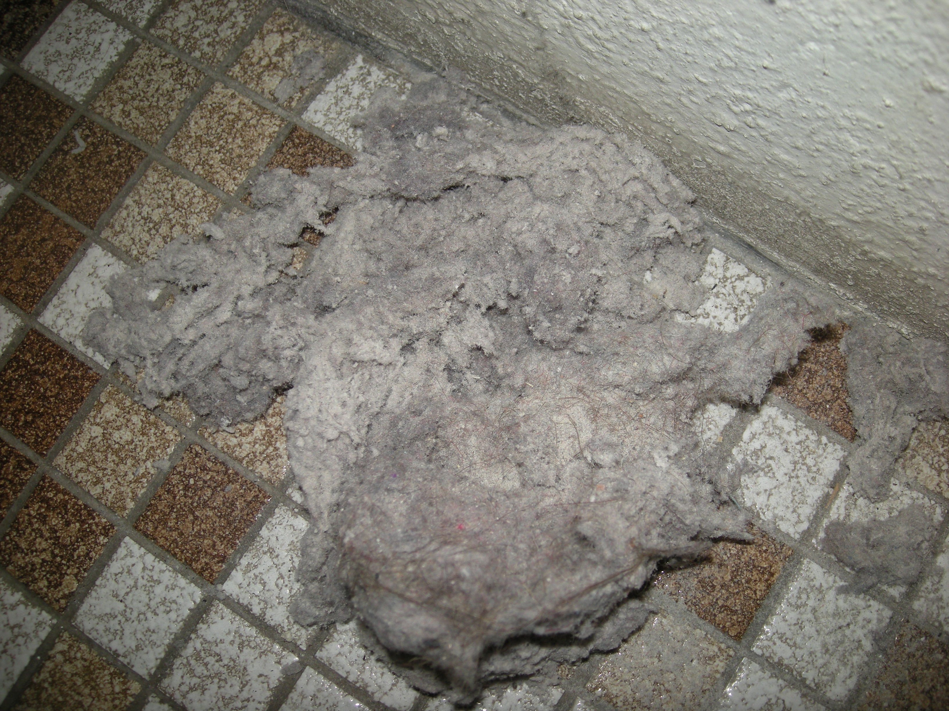 Staub aus Lüftungsrohr
